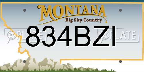 834BZI Montana License Plate