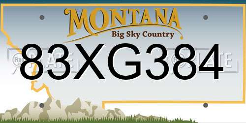 83XG384 Montana License Plate