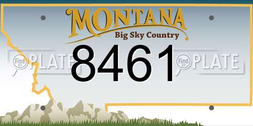 8461 Montana License Plate