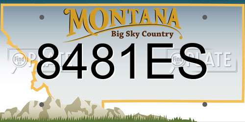 8481ES Montana License Plate