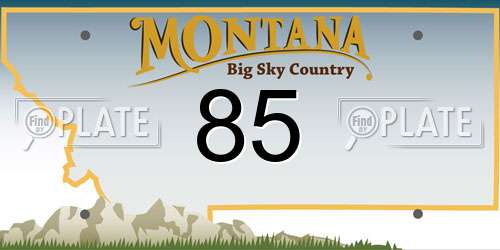 85 Montana License Plate