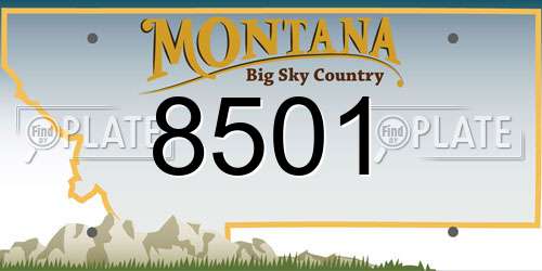 8501 Montana License Plate