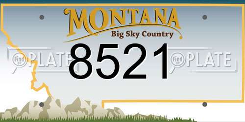 8521 Montana License Plate