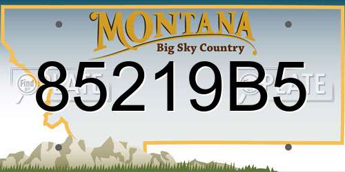 85219B5 Montana License Plate