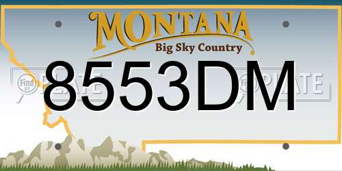 8553DM Montana License Plate