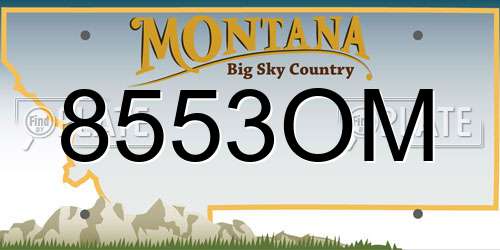 8553OM Montana License Plate