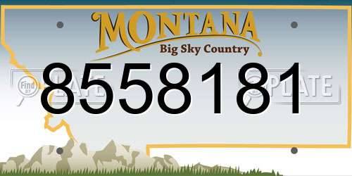 8558181 Montana License Plate