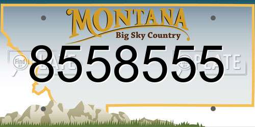 8558555 Montana License Plate