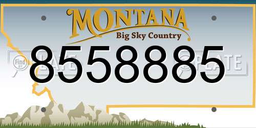 8558885 Montana License Plate