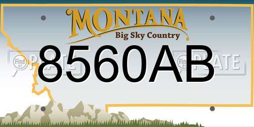 8560AB Montana License Plate