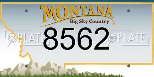 8562 Montana License Plate