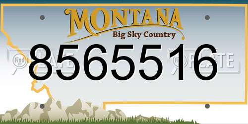 8565516 Montana License Plate