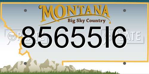 85655I6 Montana License Plate