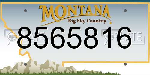 8565816 Montana License Plate
