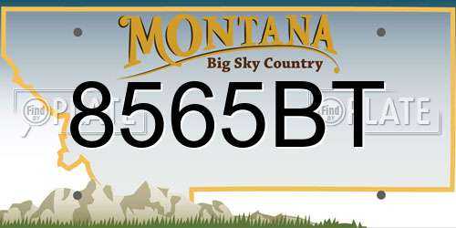 8565BT Montana License Plate