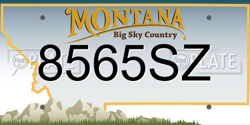 8565SZ Montana License Plate
