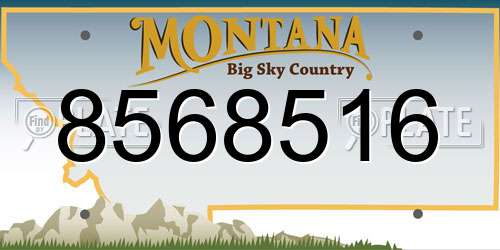 8568516 Montana License Plate