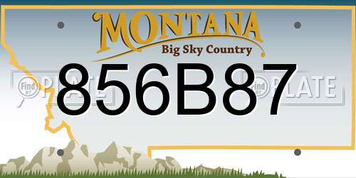856B87 Montana License Plate