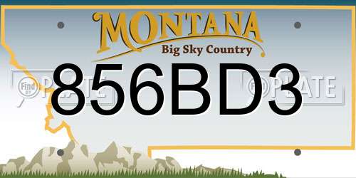 856BD3 Montana License Plate