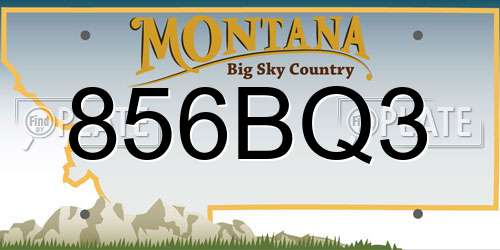 856BQ3 Montana License Plate