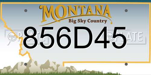 856D45 Montana License Plate