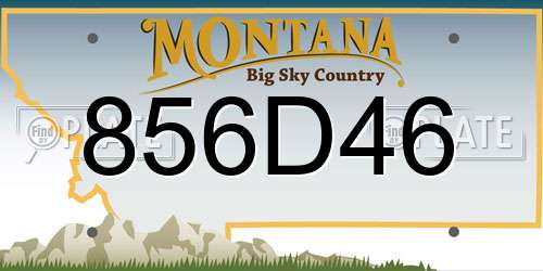 856D46 Montana License Plate