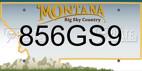 856GS9 Montana License Plate