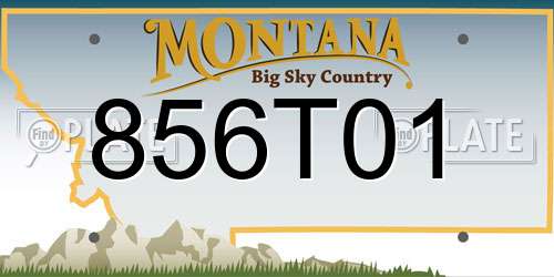 856T01 Montana License Plate