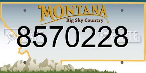 8570228 Montana License Plate