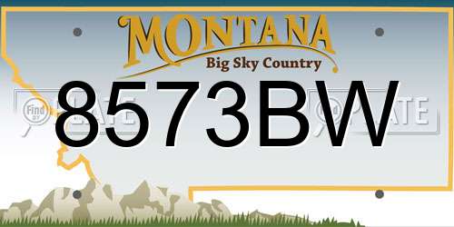 8573BW Montana License Plate