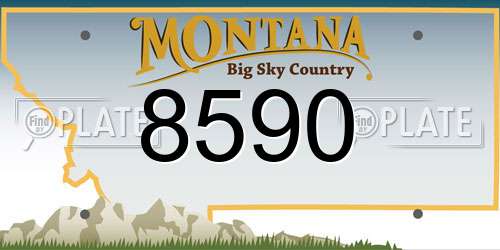 8590 Montana License Plate