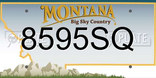 8595SQ Montana License Plate