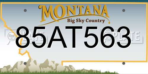 85AT563 Montana License Plate
