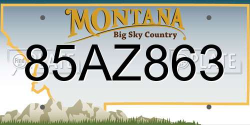 85AZ863 Montana License Plate