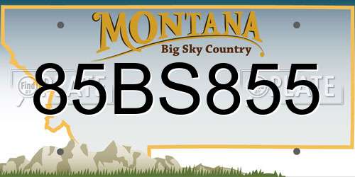 85BS855 Montana License Plate