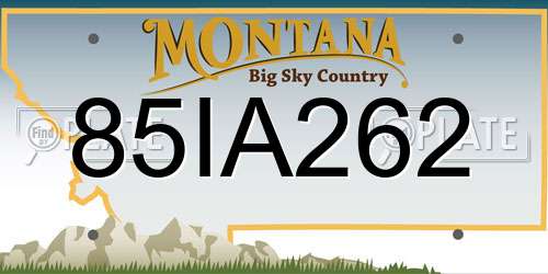 85IA262 Montana License Plate