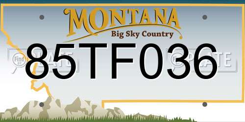 85TF036 Montana License Plate