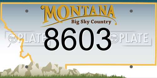 8603 Montana License Plate