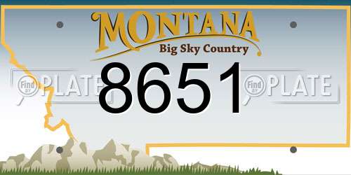 8651 Montana License Plate