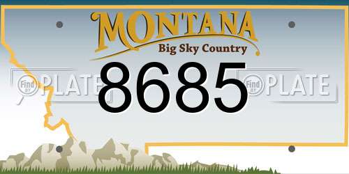 8685 Montana License Plate
