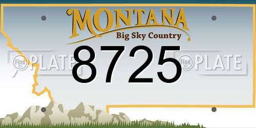 8725 Montana License Plate