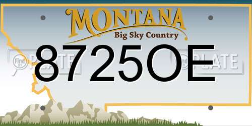 8725OE Montana License Plate