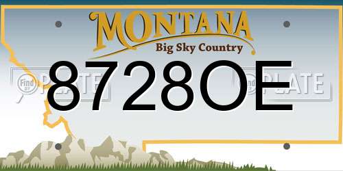 8728OE Montana License Plate