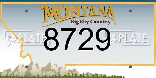 8729 Montana License Plate