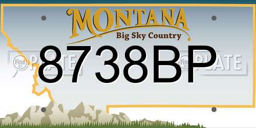 8738BP Montana License Plate
