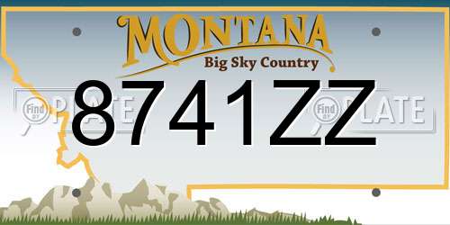 8741ZZ Montana License Plate