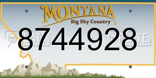 8744928 Montana License Plate
