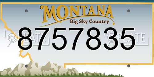 8757835 Montana License Plate