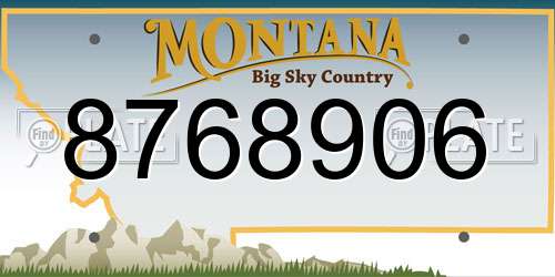 8768906 Montana License Plate