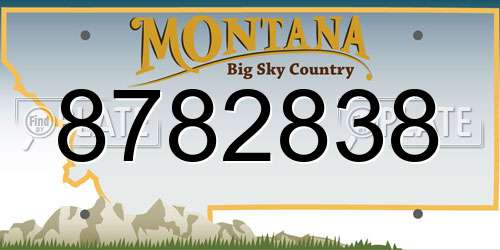 8782838 Montana License Plate